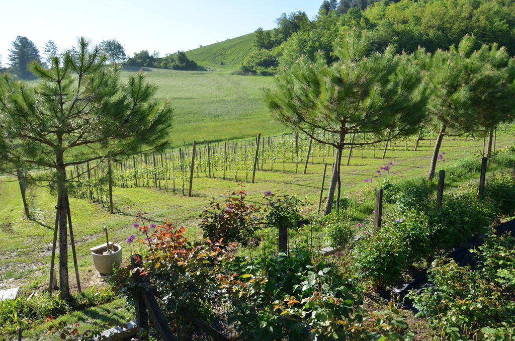Hotel Cascina Castagneto CastellʼAlfero Zewnętrze zdjęcie
